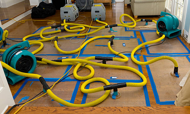 Professional Structural Drying And Dehumidification technician working in Newton, MA